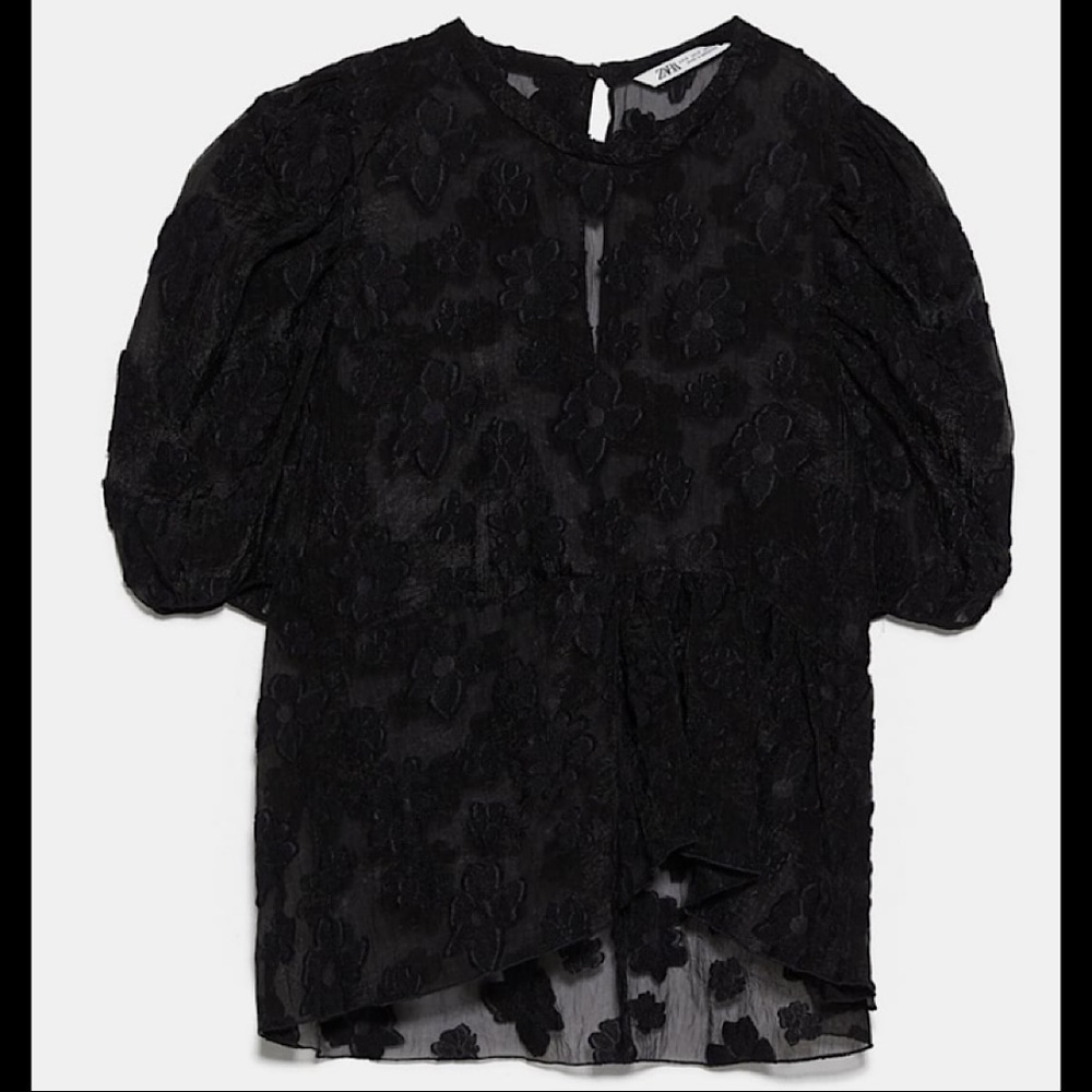 Zara Voluminous Organza Blouse - Picture 8 of 8